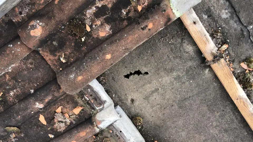 Emergency Roof Repairs